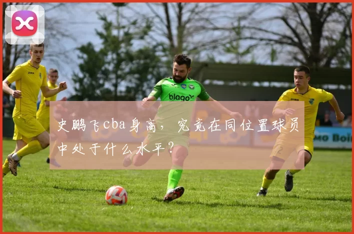 史鹏飞cba身高，究竟在同位置球员中处于什么水平？