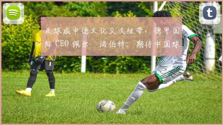 足球成中德文化交流纽带,德甲国际 CEO 佩尔・诺伯特:期待中国球员登场