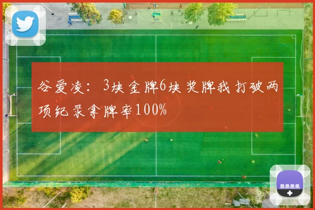 谷爱凌：3块金牌6块奖牌我打破两项纪录拿牌率100%