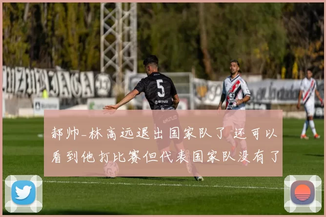 郝帅_林高远退出国家队了 还可以看到他打比赛但代表国家队没有了