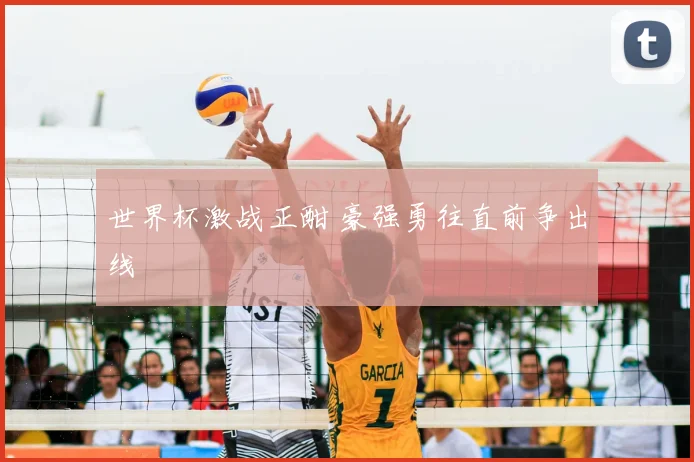 世界杯激战正酣 豪强勇往直前争出线