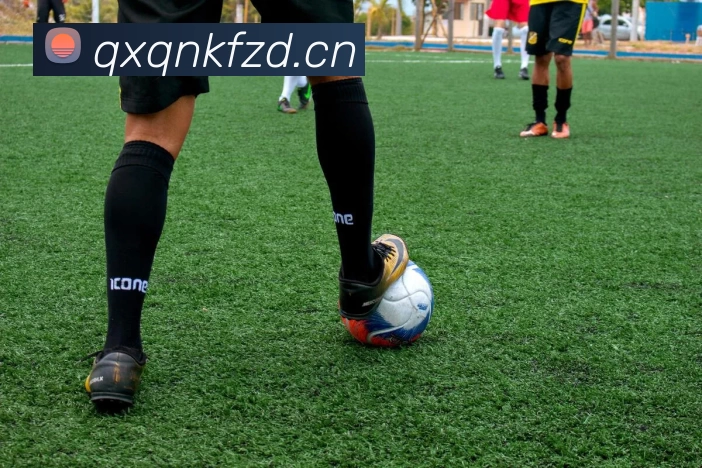 Kaiyun「中国」开云官方网站 - 登录入口服务体系